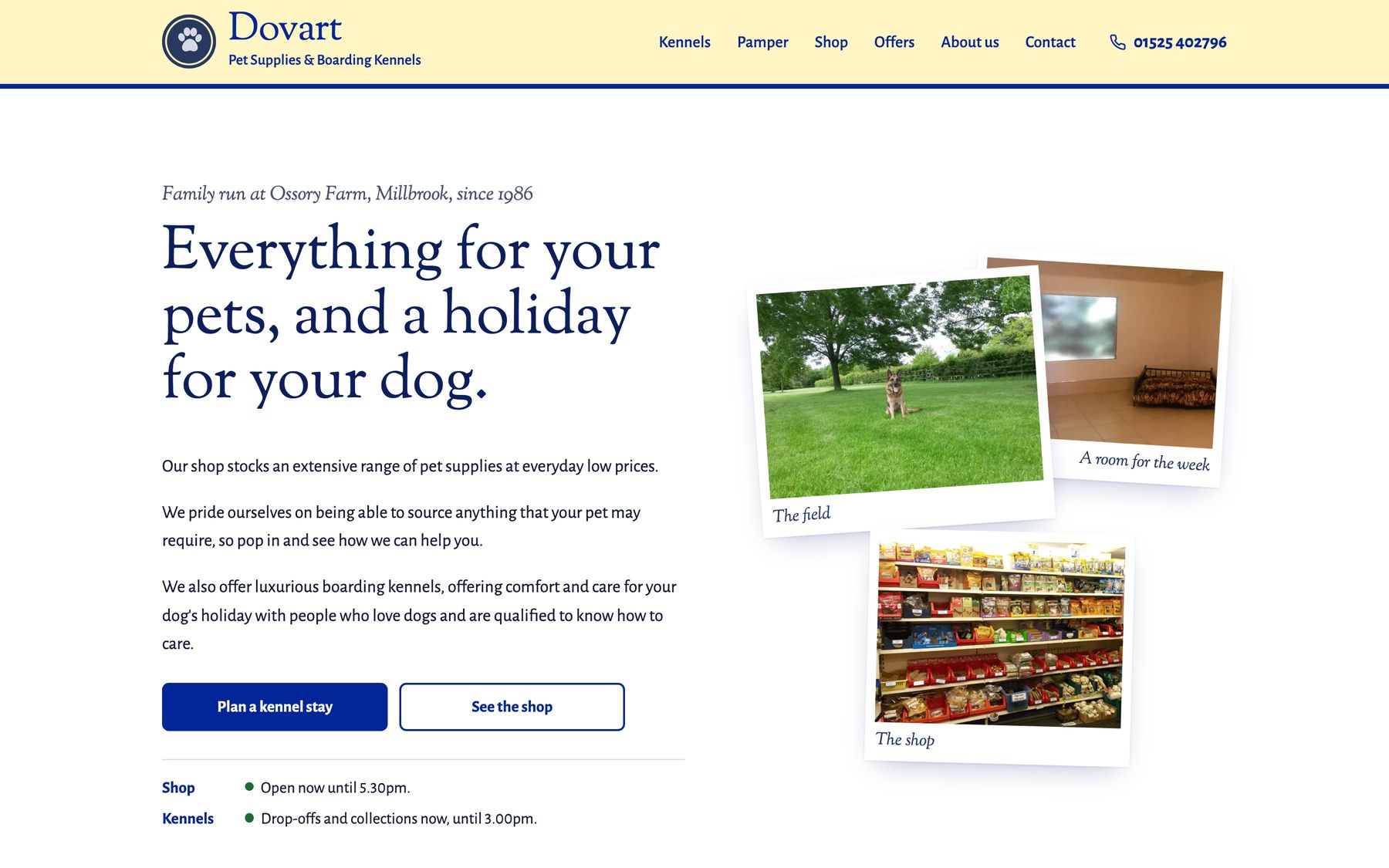 The Dovart concept: a pale yellow masthead, the headline beside fanned holiday snapshots, and an open today line